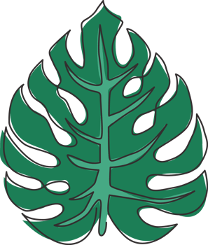 Single continuous line drawing exotic tropical leaf monstera plant. Printable decorative houseplant concept for home wall decor poster ornament. Modern one line draw design vector graphic illustration png
