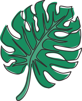 One continuous line drawing exotic beauty tropical leaf monstera plant. Printable decorative houseplant concept for home wall decor ornament. Modern single line draw design graphic vector illustration png