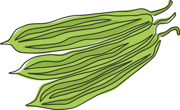 One continuous line drawing of whole healthy organic sponge gourd for farm logo identity. Fresh Egyptian cucumber concept for vegetable icon. Modern single line draw design vector graphic illustration png