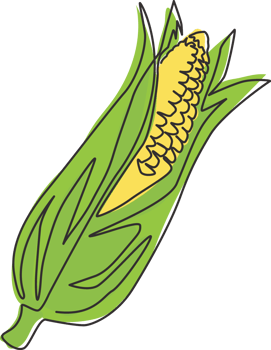 One single line drawing of whole healthy organic corn crop for farm logo identity. Fresh maize concept for starchy vegetable icon. Modern continuous line draw graphic design vector illustration png