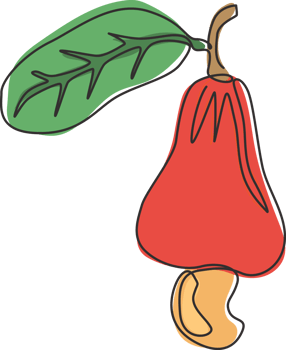 One continuous line drawing whole healthy organic cashew apple for orchard logo identity. Fresh Brazilian caju concept for fruit garden icon. Modern single line draw design vector graphic illustration png