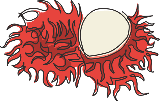 One continuous line drawing of half sliced healthy organic rambutans for orchard logo identity. Fresh summer fruitage concept for fruit garden icon. Modern single line draw design vector illustration png