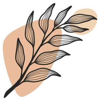 Line Art Leaf png
