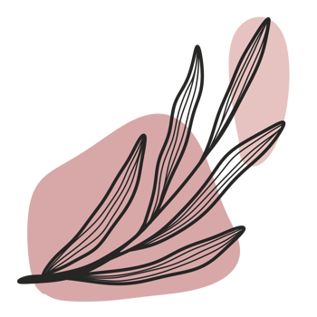 Line Art Leaf png
