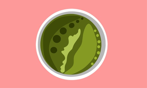 Vector illustration. Green drink derived from Moringa leaves. Flat design