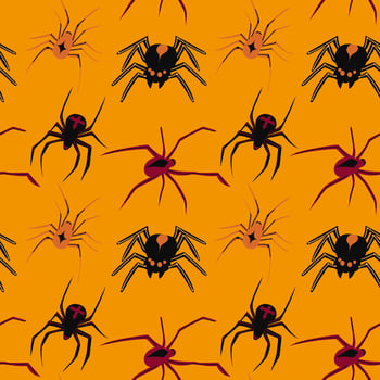 Seamless spiders background. Dangerous spiders vector background. Pattern for design poisonous spider contour vector. Simple vector background with spiders theme for halloween.