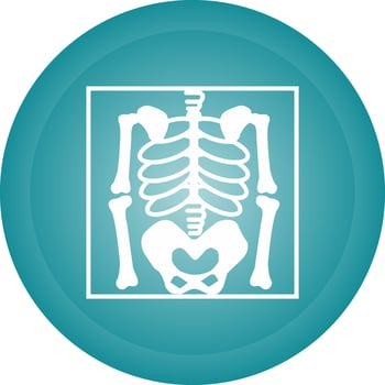 Skeleton Vector Icon
