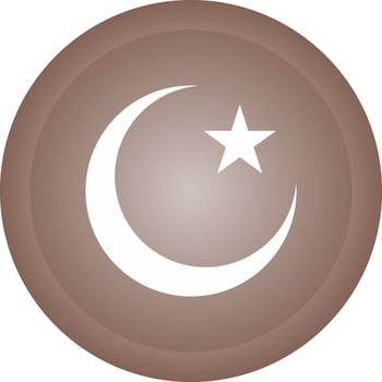 Moon and Star Vector Icon