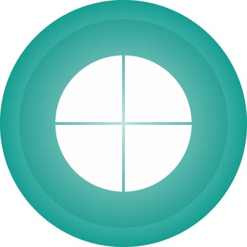 Circle Vector Icon