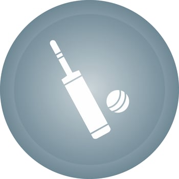 Cricket Bat and Ball Vector Icon