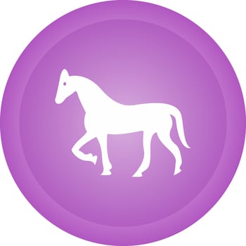 Horse Vector Icon