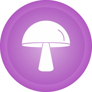 Single Mushroom Vector Icon