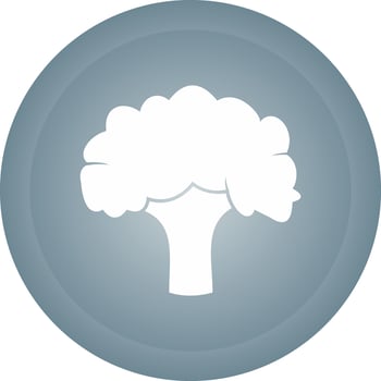 Broccoli Vector Icon