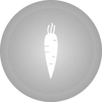 Carrot Vector Icon