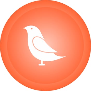 Birds Vector Icon