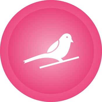 Little Bird Vector Icon