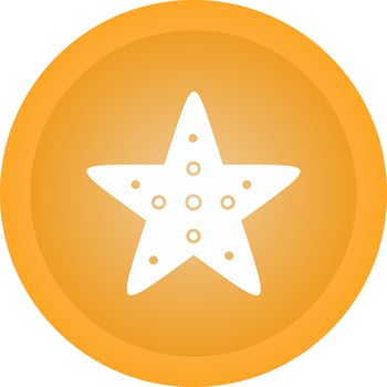 Starfish Vector Icon