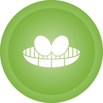 Nest Vector Icon