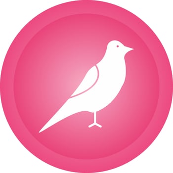 Bird Vector Icon