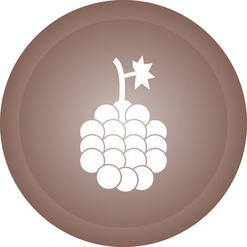 Grapes Vector Icon