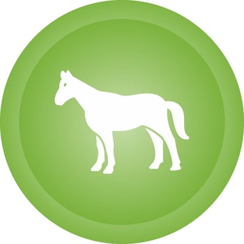 Horse Vector Icon