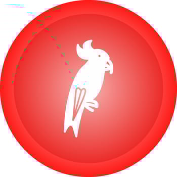 Parrot Vector Icon