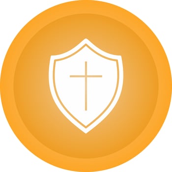 Shield Vector Icon