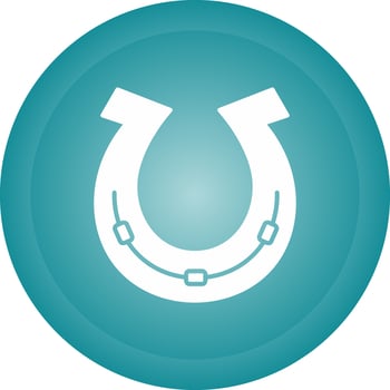 Horse Shoe Vector Icon
