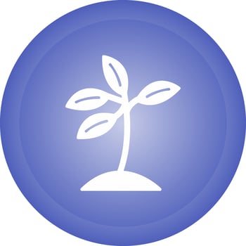Plant Vector Icon