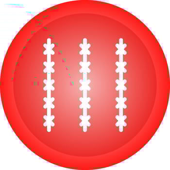 Pointed Wire Vector Icon