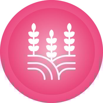 Field Vector Icon