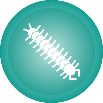 Centipede Vector Icon