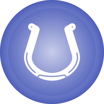 Horseshoe Vector Icon