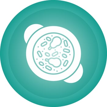 Paella Vector Icon