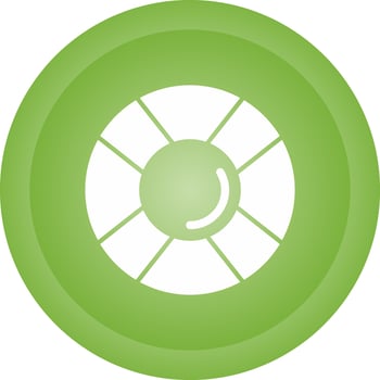 Lifesaver Vector Icon