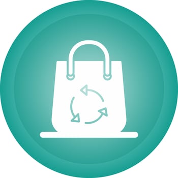 Bag Vector Icon