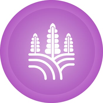 Field Vector Icon