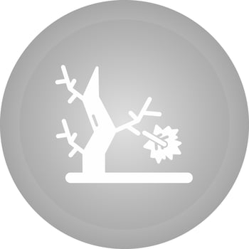 Autumn Vector Icon