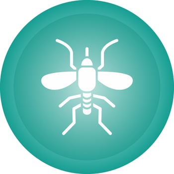 Mosquito Vector Icon