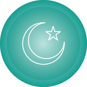 Moon and Star Vector Icon