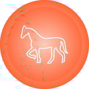 Horse Vector Icon