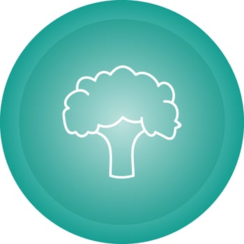 Broccoli Vector Icon