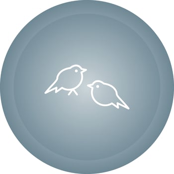 Little Birds Vector Icon