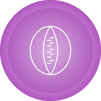Rockmelon Vector Icon