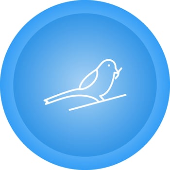 Bird Eating Worm Vector Icon