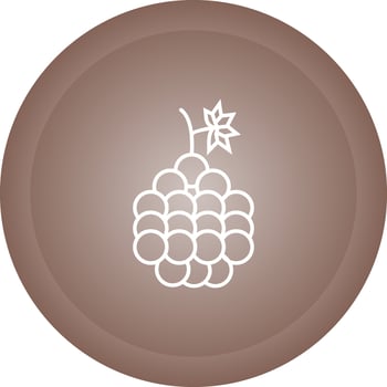 Grapes Vector Icon