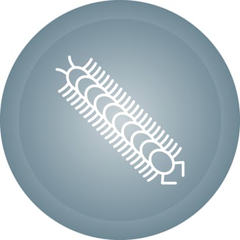 Centipede Vector Icon