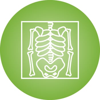 Skeleton Vector Icon