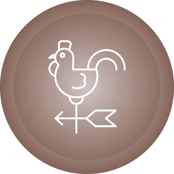 Wind Vane Vector Icon