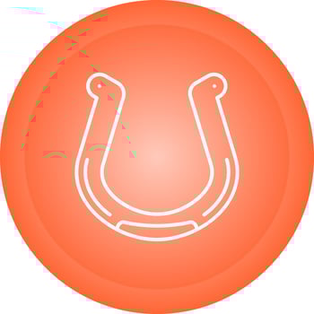 Horseshoe Vector Icon